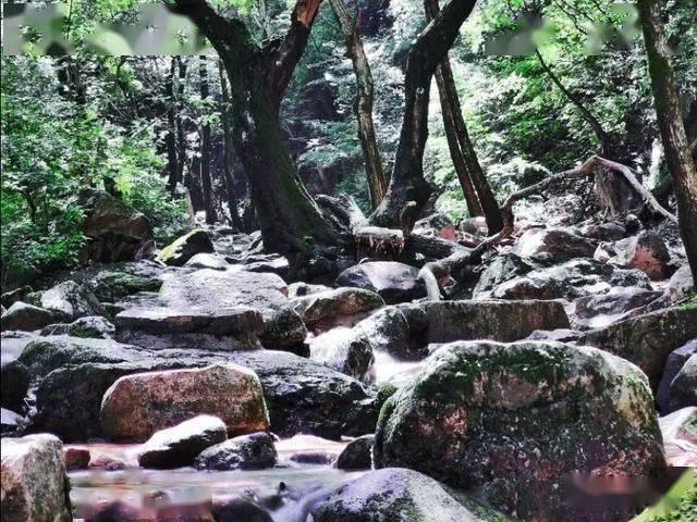 数数救伙伴